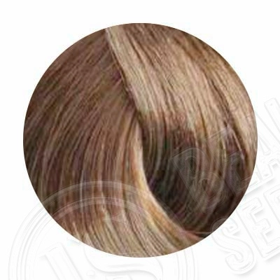 pal_blc_8.13